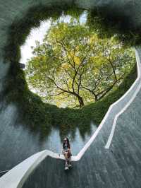 Fort Canning Tree Tunnel in Singapore is Mesmerizing🌹💥