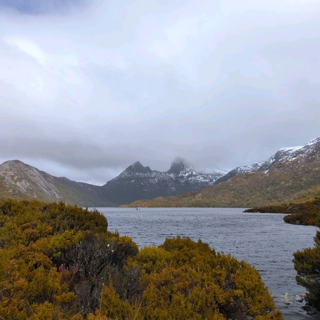 Tasmania Cradle mountain 