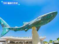 沖繩親子旅行好去處：亞州最大的美麗海水族館