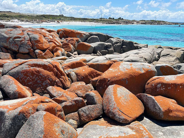 Bay of Fires: Tasmania’s Coastal Wonderland