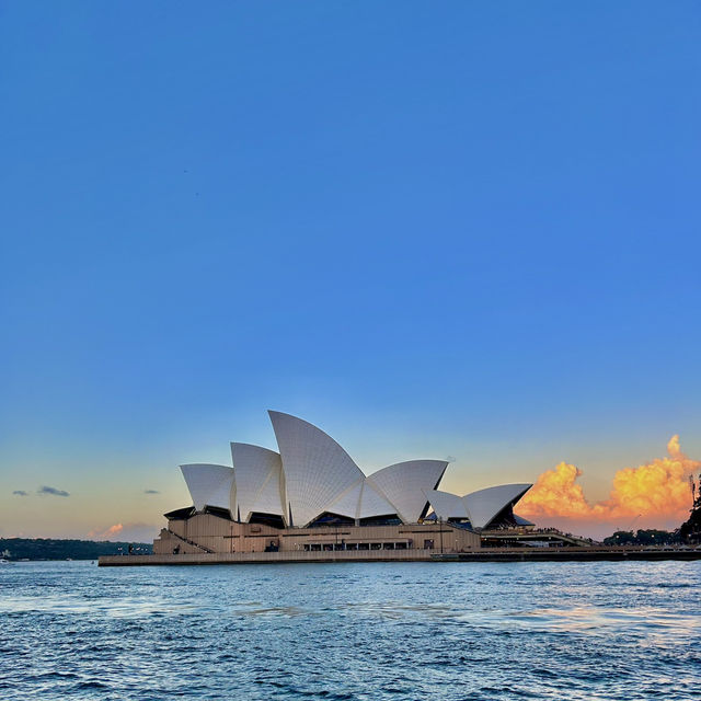 Sydney: Where nature meets the city