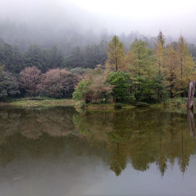 明池國家森林遊樂區