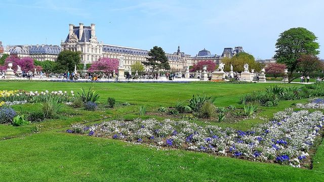 Parisian Delights