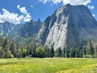 Yosemite National Park 🇺🇸