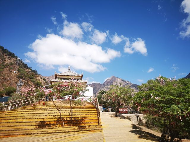 寧夏贺兰山蘇峪口國家森林公園