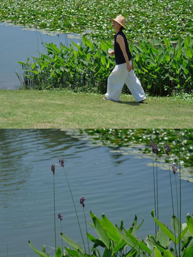 謝子龍新機位夏天的綠五分鐘拍了100張