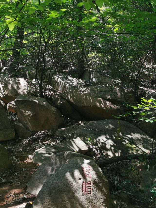 進門就是山的花山景區