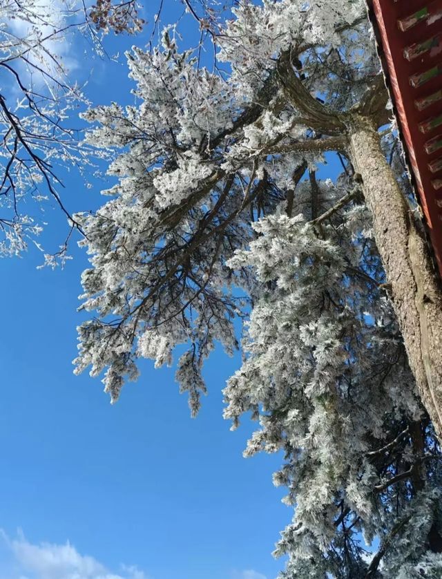 冬日的一場大雪，將終南山南五台裝扮得如同仙境。