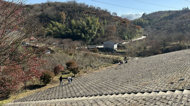 唐田幸福水庫