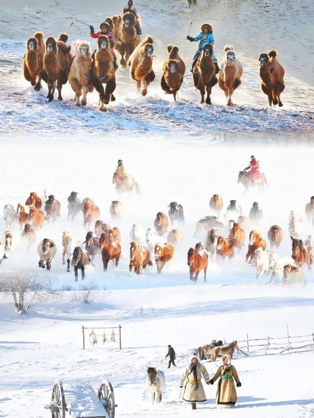 寶貝們，冬季的烏蘭布統簡直就是一個夢幻的冰雪王國