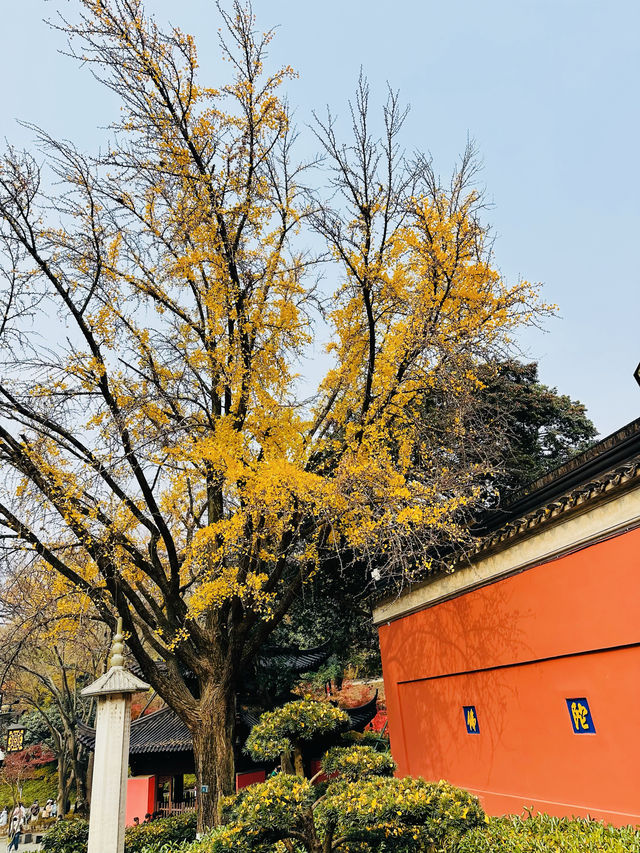 千年古剎·棲霞古寺