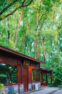 瀘州森系圖書館｜忠山公園 香樟書苑