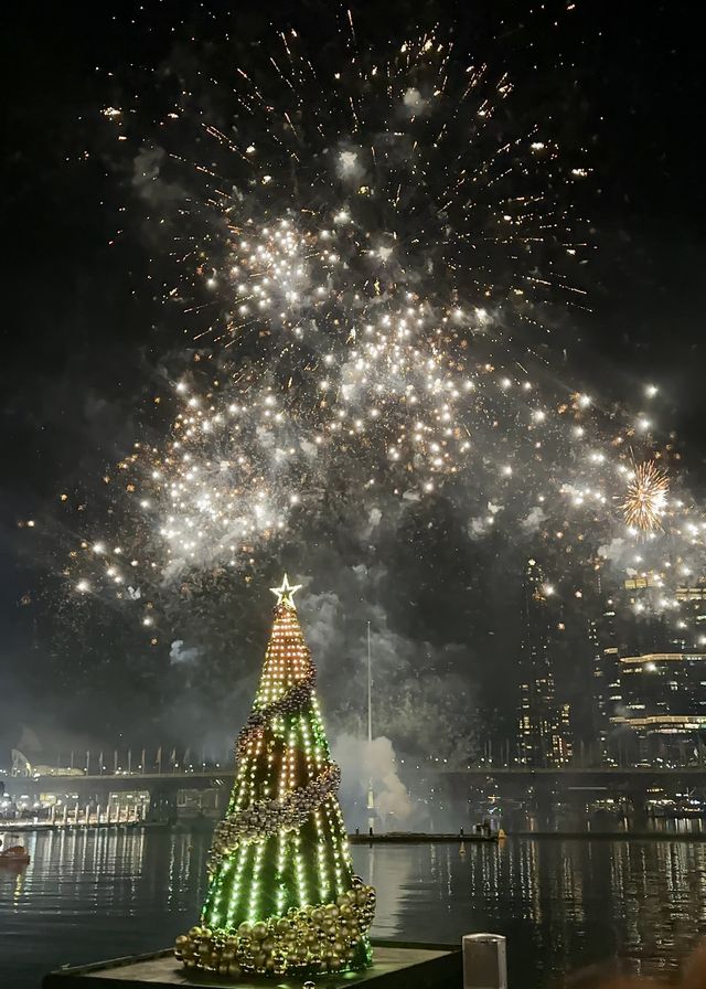 Experience the 7-Minute Fireworks Show at Darling Harbour