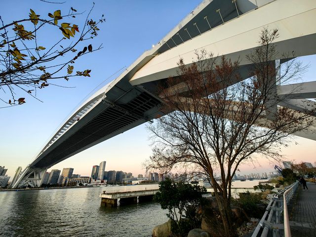 上海浦東世博文化公園