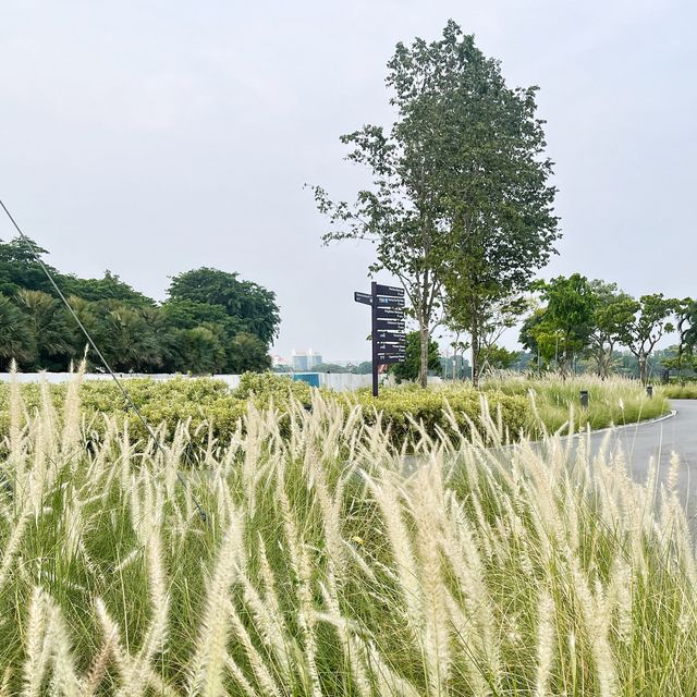 Open Seas, Open Breeze at Marina Barrage