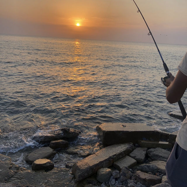 Relaxing on the Coastline