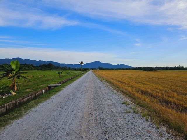 An ATV adventure at the fields of Balik Pulau