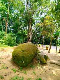 Exploring the Penang Hill Biosphere Reserve