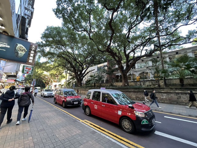 立志成為香港觀光大使