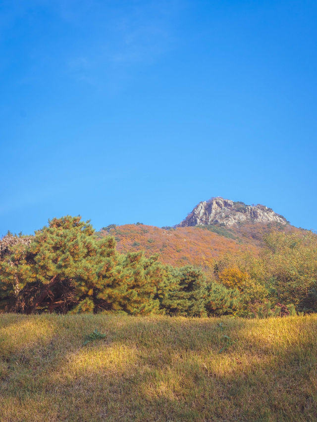 정조대왕이 하룻밤 묵고 떠났던 “안산읍성 관아지” 