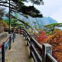 鷹峯山：雲霧秋日🏞️