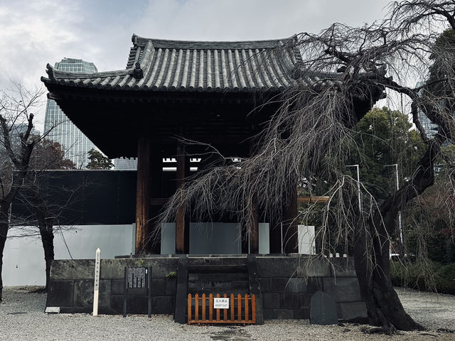 🇯🇵 Zojoji Temple: A Blend of Tradition and Modernity