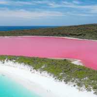 A Pink Paradise: Have You Seen the Stunning Lake Hillier in Perth??