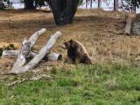 Oakland Zoo 🇺🇸