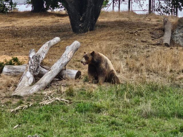 Oakland Zoo 🇺🇸