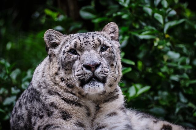 中央公園動物園