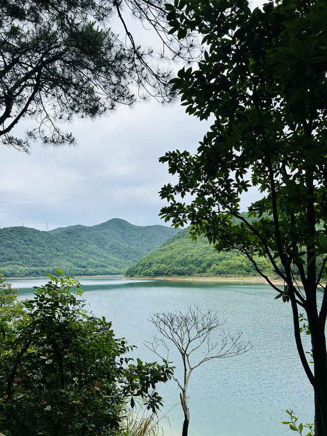 江浙滬遛娃 | 寧波藏著一個江南的“香格里拉”