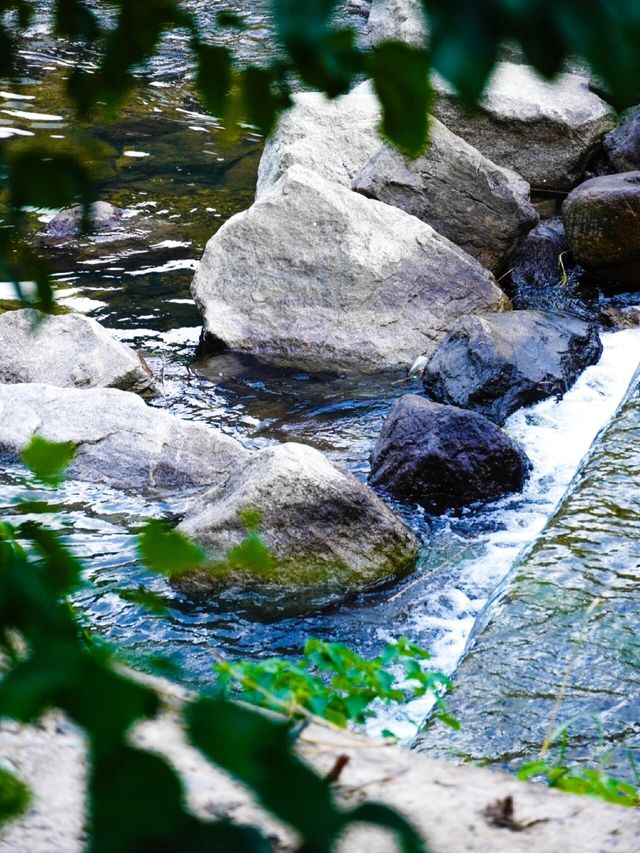 安吉溯溪 | 玩水全攻略以及真实旅游消费狀況來啦！