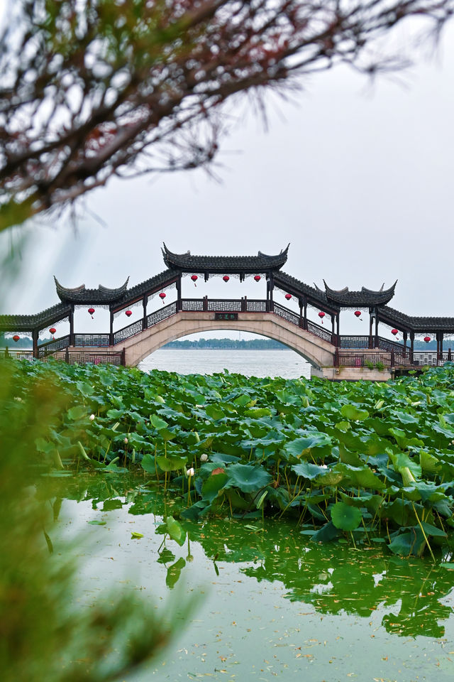 隱世小眾旅遊景點 | 距離上海只有1小時車程的錦溪古鎮。