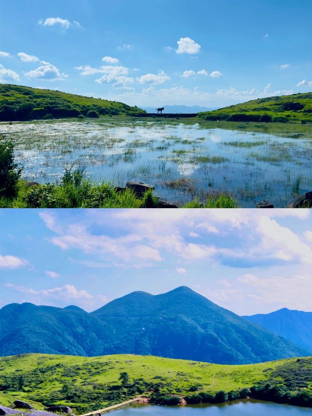 福建的小伊犁去超美的高山草甸徒步。