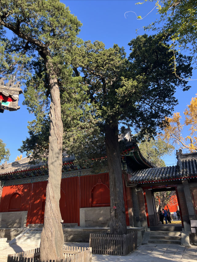 今日古剎，承恩寺。