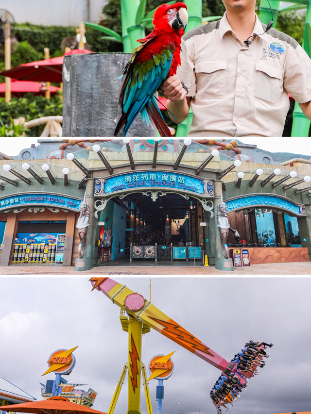 冬日裡的海洋奇遇！Hong Kong 海洋公園全攻略來啦。