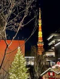 Avoid Taking Photos on Sidewalks During Japan's Christmas Light Displays