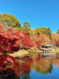 名古屋紅葉季