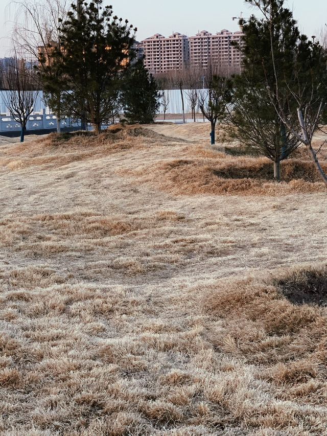 平陸茅津古渡|「假途滅虢」之地