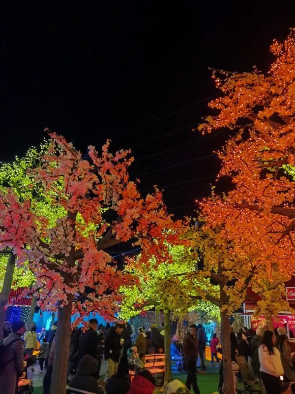 Explore the Illumi Light Show in Mississauga