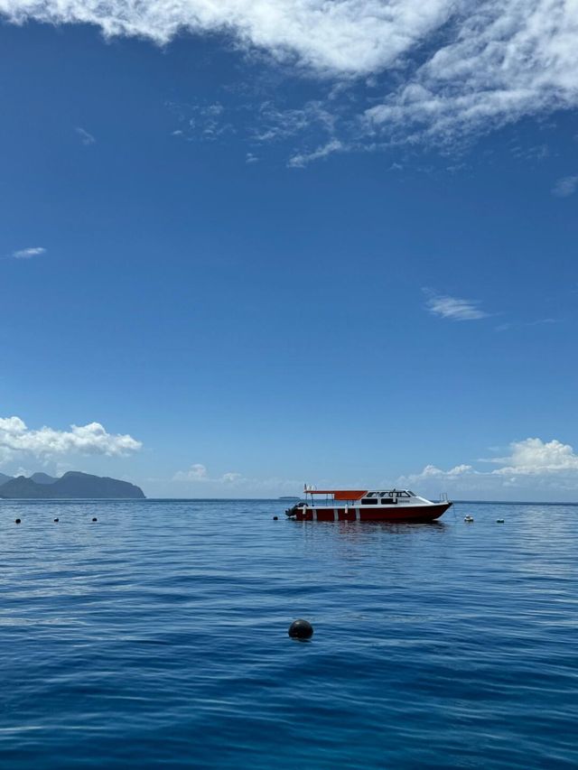 斗湖仙境：碧海藍天，潛水天堂