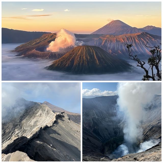 馬朗 - Bromo 超詳細旅遊攻略 | 火山下的奇幻之旅