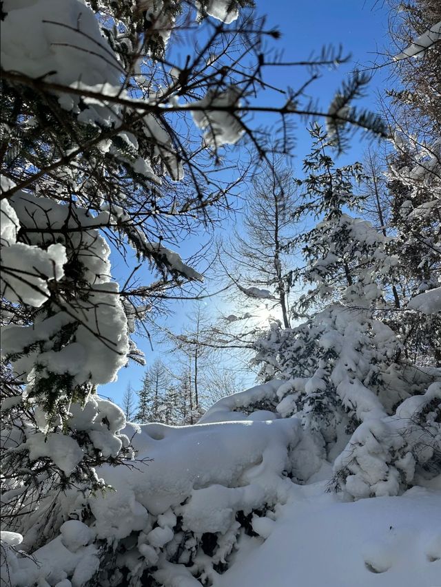 最美山西夢幻雪山管涔山：山西的阿勒泰