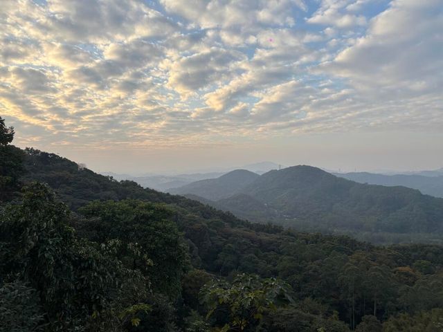 我在廣州發現一個寶藏徒步公園拍照超好看