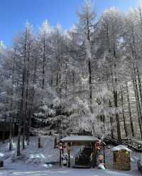 神農架的冰雪奇緣，夢幻之旅等你來！