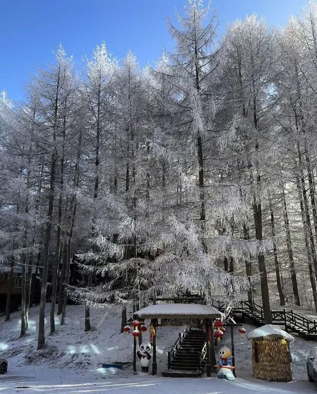 神農架的冰雪奇緣，夢幻之旅等你來！