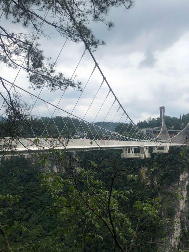 張家界仙境，探秘阿凡達取景地