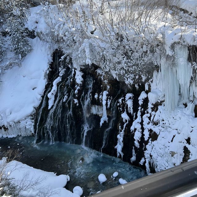 CG같은 풍경을 볼 수 있는 삿포로 필수 코스 비에이투어 🌲