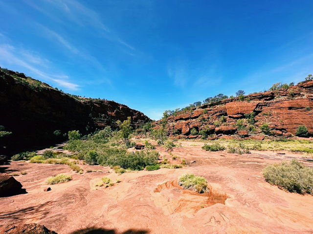 The Palm Valley