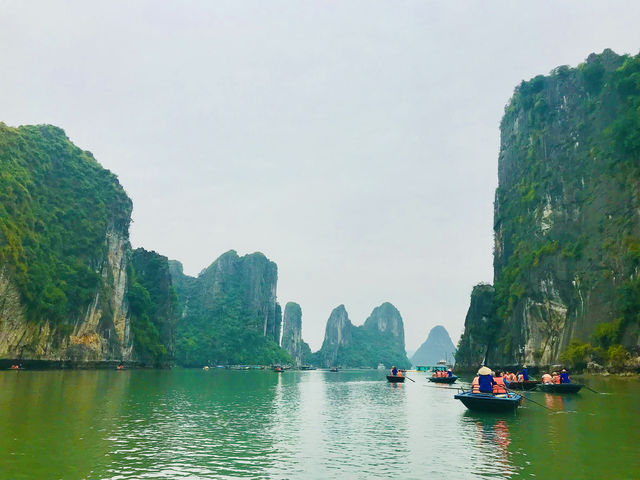 A unique glimpse into a world of dramatic cliffs 🇻🇳